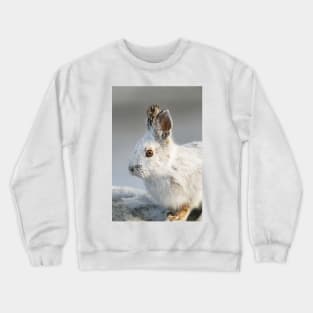 Snowshoe Hare Crewneck Sweatshirt